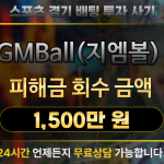 스포츠 배팅 투자 사기 GMBall 사례 분석과 해결 과정